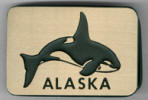 <!--Alaska Orca-->