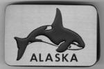 Alaska Orca