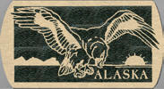 <!--Alaska Golden Eagle-->